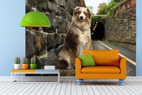 Tapeta Psík - ZR 0120