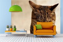 Tapeta Mačka - ZR 0070