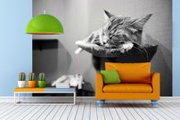 Tapeta Mačka - ZR 0121