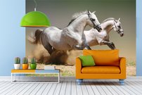 Tapeta Biele kone - ZR 0127