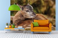 Tapeta Srnka - ZR 0128