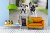 Tapeta Šteniatka - ZR 0129