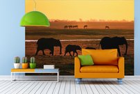 Tapeta Slony - ZR 0130