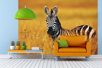 Tapeta Zebra - ZR 0131
