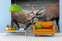 Tapeta Jelene - ZR 0132