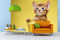 Tapeta Mačiatko - ZR 0133