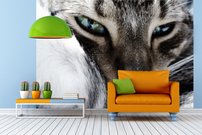 Tapeta Kocúr - ZR 0136