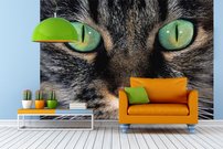 Tapeta Kocúr - ZR 0137