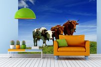 Tapeta Kravičky - ZR 0093