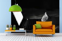 Tapeta Mačka - ZR 0113