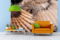 Tapeta Sova - ZR 0112