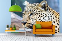 Tapeta Jaguár - ZR 0109