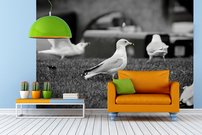 Tapeta Čajky - ZR 0108