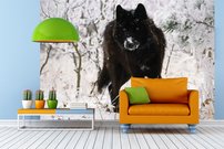 Tapeta Vlk - ZR 0107