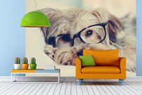 Tapeta Psík - ZR 0106