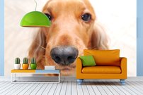 Tapeta ZR 0142 - Psík