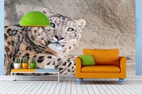 Tapeta ZR 0150 - Leopard