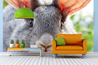 Tapeta ZR 0139 - Zajac