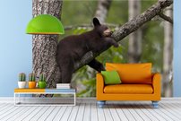 Tapeta Medvedík - ZR 0077