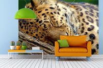 Tapeta Leopard - ZR 0073