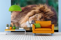 Tapeta Lev - ZR 0079