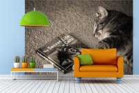 Tapeta Mačka - ZR 0078