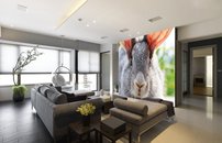 Tapeta ZR 0139 - Zajac