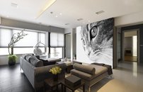 Tapeta ZR 014 - Mačka