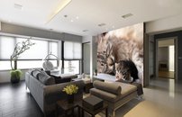 Tapeta ZR 0144 - Mačičky