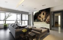 Tapeta ZR 0147 - Mačka