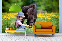 Tapeta Poník - ZR 0057