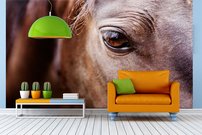 Tapeta ZR 0036 - Kôň