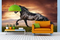 Tapeta Kôň ZR 0062