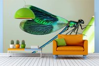 Tapeta ZR 0042 - Vážka