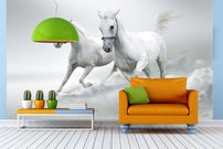 Tapeta ZR 0038 - Biele kone