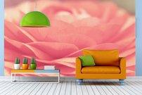 Ružový kvet - OD 0057