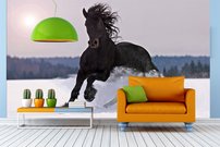 Tapeta ZR 0026 - Kôň