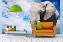 Tapeta ZR 0010 - Slon