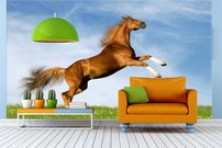 Tapeta ZR 0008 - Hnedý kôň