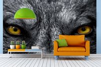 Tapeta ZR 0021 - Vlk