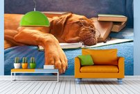 Tapeta ZR 0030 - Pes