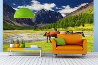 Tapeta ZR 0040 - Kone