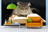 Tapeta ZR 0051 - Mačka s knihou