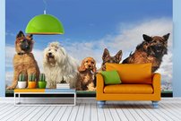 Tapeta ZR 0028 - Psy