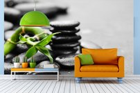 Fototapeta Kamene - WS 0036