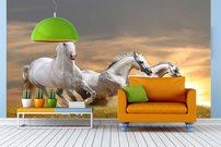 Tapeta ZR 0032 - Biele kone