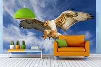 Tapeta ZR 0027 - Sokol