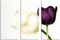 obraz na stenu kvety dva tulipány 3 dielne