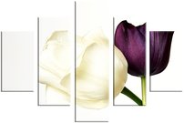 obraz na stenu kvety dva tulipány 5 dielne