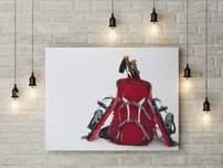 obraz na stenu ruksak OD 3